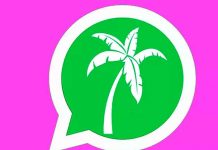 ¿Ya sabés cómo se activa el modo vacaciones WhatsApp? ¿Ya sabés cómo se activa el modo vacaciones WhatsApp? / FOTO / El Mundo