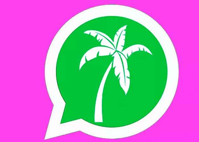 ¿Ya sabés cómo se activa el modo vacaciones WhatsApp? / FOTO / El Mundo