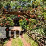 nicaragua, madriz, fincas, eco turismo, entre pinos,