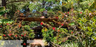 nicaragua, madriz, fincas, eco turismo, entre pinos,