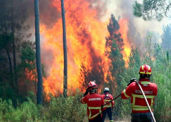 Bomberos combaten importante incendio en el sur de Portugal