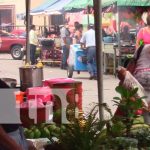 nicaragua, ocotal, nueva segovia, Expoferia, Porcinocultura,