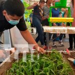 nicaragua, chinandega, expoferia, cucurbitáceas,