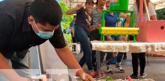 nicaragua, chinandega, expoferia, cucurbitáceas,