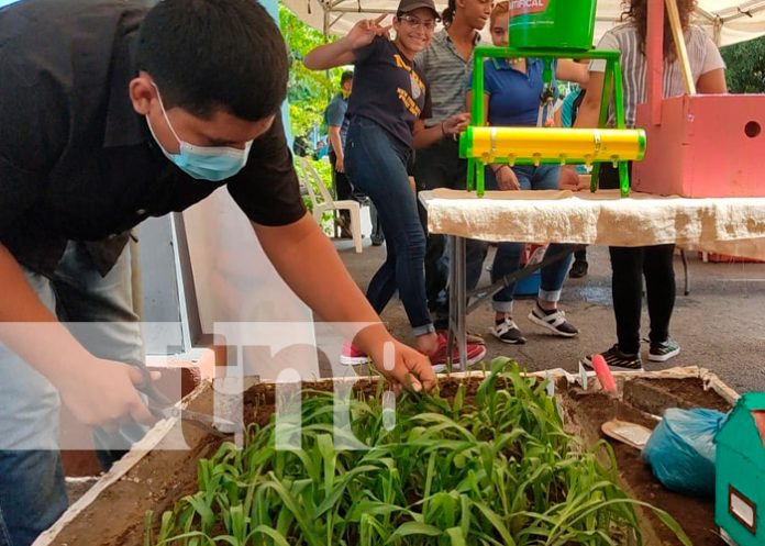 1 nicaragua, chinandega, expoferia, cucurbitáceas,