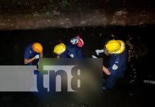 nicaragua, managua, accidente de transito, motociclista, muerto,