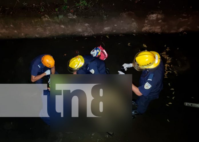 nicaragua, managua, accidente de transito, motociclista, muerto,