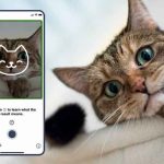 ¿Te gustan los gatos? Con está aplicación sabrás si es feliz o tiene dolor tecnologia, gatos, aplicacion, tably, cuido