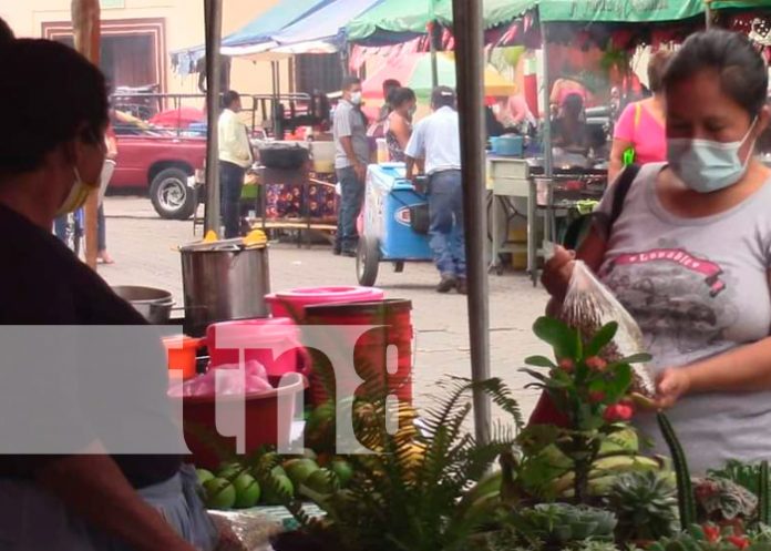 nicaragua, ocotal, nueva segovia, Expoferia, Porcinocultura,