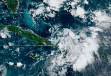 fred, depresion tropical, trayectoria, lluvias, seguimiento