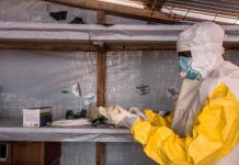 Conocé el nuevo virus mortal que enciende las alarmas en África salud, africa, sintomas, virus marburgo, oms