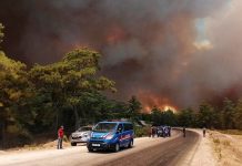 grecia, incendio, afectaciones, hectareas, muertos