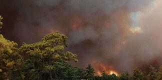 grecia, incendio, afectaciones, hectareas, muertos
