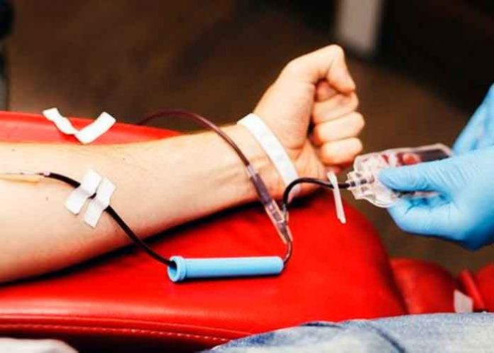 salud, donacion, sangre, coronavirus, procedimiento
