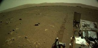 ciencia, rover perseverance, nasa, muestras, planeta marte