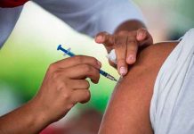 Primeros resultados positivos de la vacuna contra el chikunguña salud, vacuna, chikunguña, resultados, anticuerpos