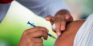 salud, vacuna, chikunguña, resultados, anticuerpos
