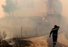 argelia, incendios, victimas, afectaciones, gobierno