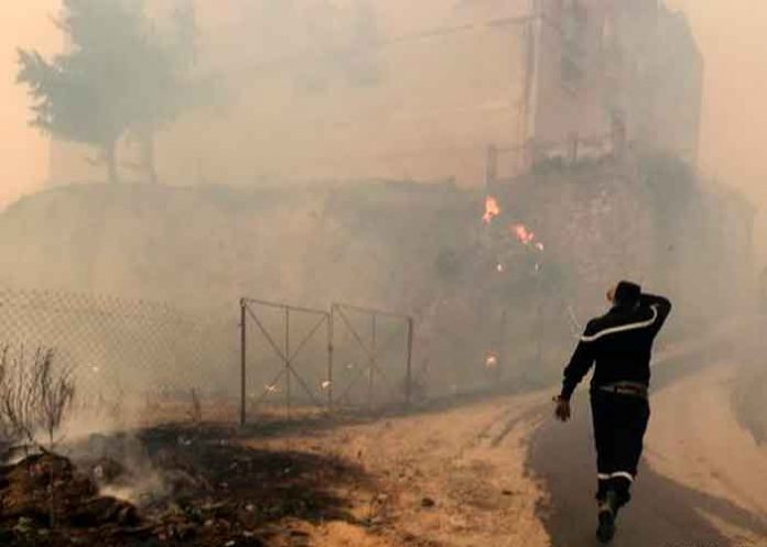 argelia, incendios, victimas, afectaciones, gobierno