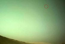 El rover Perseverance vislumbra Deimos, la pequeña luna de Marte El rover Perseverance vislumbra Deimos, la pequeña luna de Marte