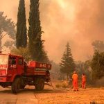 Pico de calor en Italia, afectada también por los incendios europa, italia, ola de calor, incendio, afectaciones