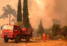 europa, italia, ola de calor, incendio, afectaciones