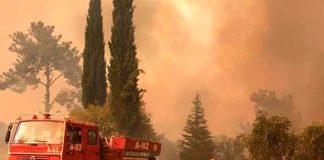 europa, italia, ola de calor, incendio, afectaciones