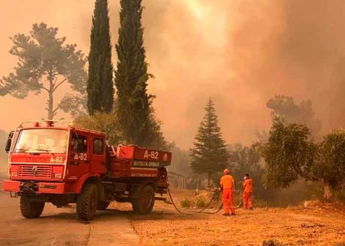 europa, italia, ola de calor, incendio, afectaciones