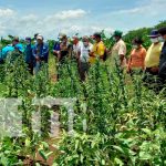 Programa Adelante y Usura Cero, fomento a la economía de Nicaragua