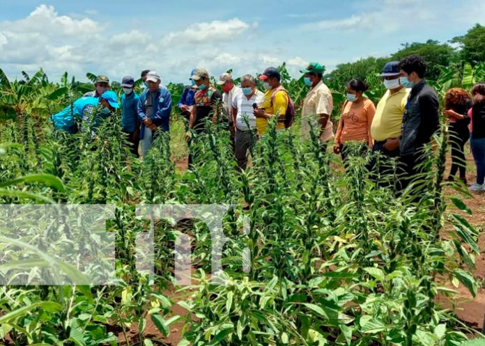 4 Programa Adelante y Usura Cero, fomento a la economía de Nicaragua
