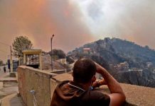 argelia, incendios, fallecidos, afectaciones, temperaturas altas