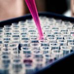 salud, vacuna española, covid-19, autorizacion, estudio