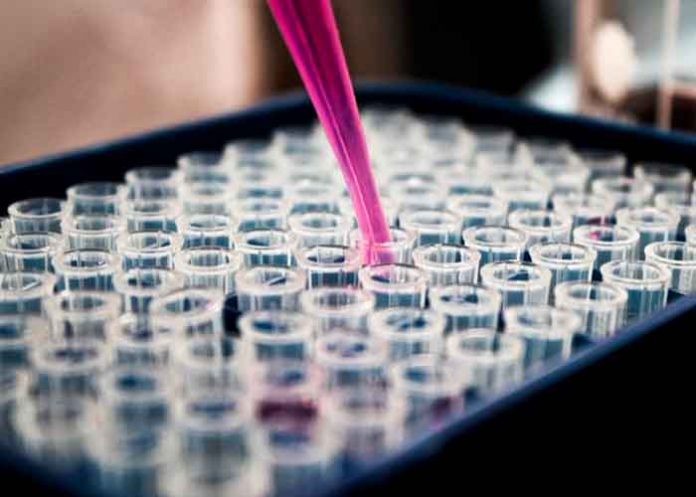 salud, vacuna española, covid-19, autorizacion, estudio