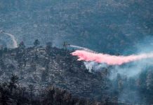 Israel logra controlar incendios forestales tras 52 horas de lucha