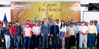nicaragua, cacao, clasificacion, muestra, calidad