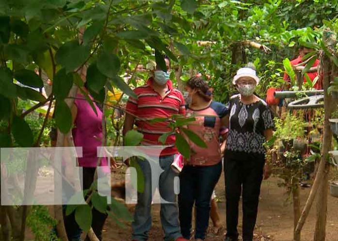 Conozca los frutos de la escuela de campo en el Distrito III, Managua