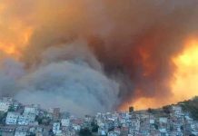 Argelia: turba mata a hombre sospechoso de provocar incendios