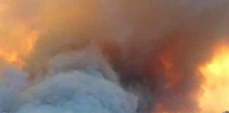 Argelia: turba mata a hombre sospechoso de provocar incendios