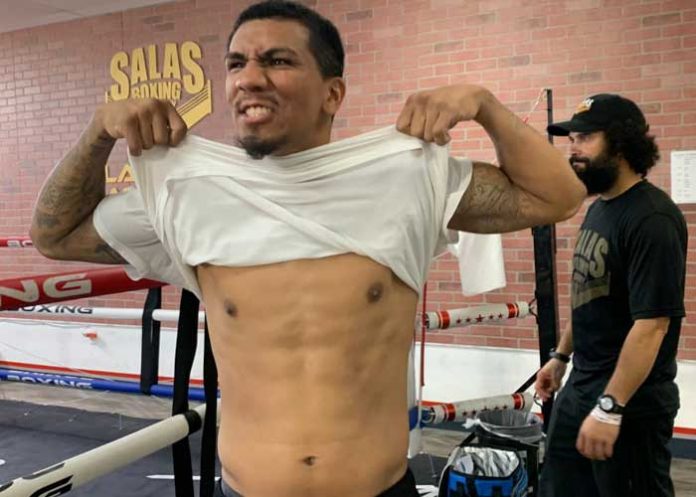 CUBA luis, cuba, arias, boxeo,