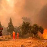 Presidente de Turquía declara «estado de catástrofe» por incendios forestales Presidente de Turquía declara "estado de catástrofe" por incendios