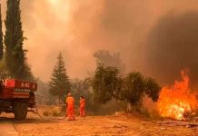 Presidente de Turquía declara "estado de catástrofe" por incendios