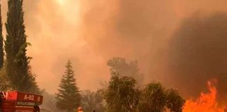 Presidente de Turquía declara "estado de catástrofe" por incendios