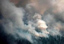 Catástrofe: Siberia arde mientras el humo llegue hasta el Polo Norte