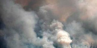 Catástrofe: Siberia arde mientras el humo llegue hasta el Polo Norte