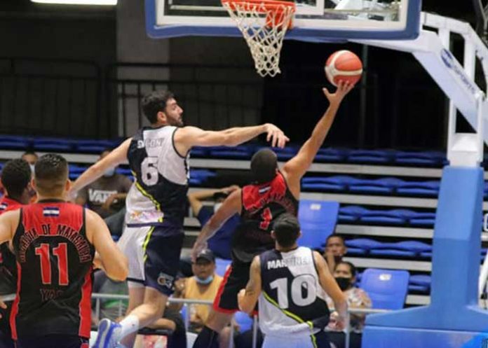 LEONES leones, managua, leon, lsb