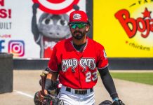 freddy, zamora, milb, ligas, menores,