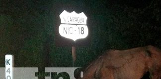 nicaragua, carazo, carreton, caballo, colision,