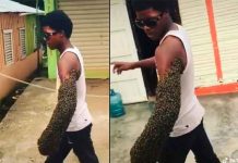 Joven sorprende al trasladar una colmena abejas en su brazo (VIDEO) Un joven sorprende al trasladar una colmena abejas en su brazo (VIDEO)