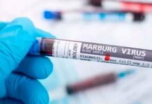 ¡Tan mortífera como el ébola! Primer caso virus de Marburgo en África