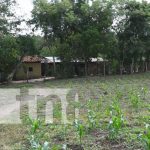 Comunidad Villa Austria, en Telpaneca, que pronto tendrá proyecto de agua potable